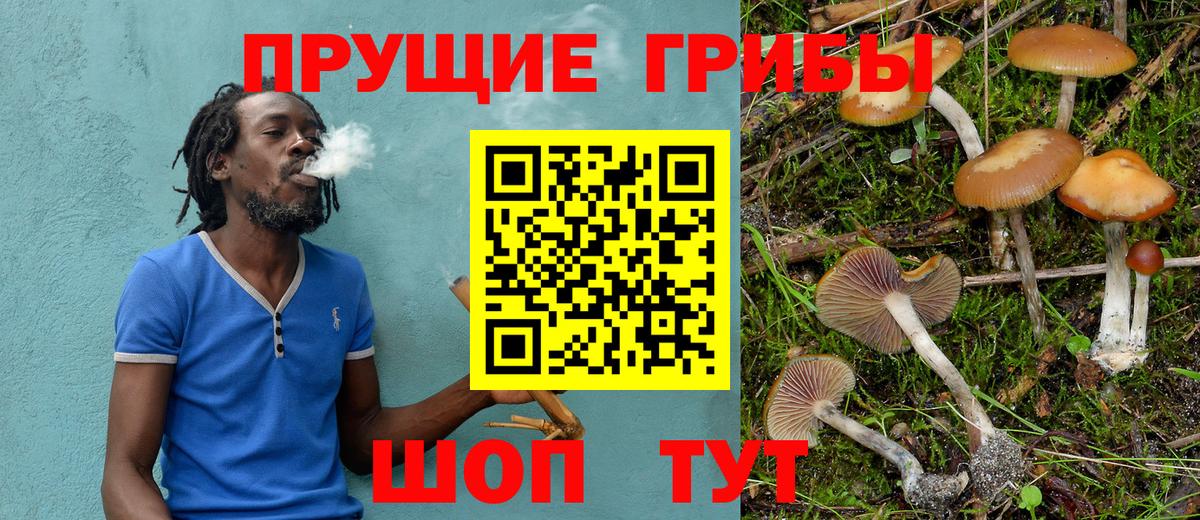 Псилоцибиновые грибы мухоморы  Вход с VPN  Галлюциногенные грибы GOLDEN TEACHER  Наро-Фоминск 