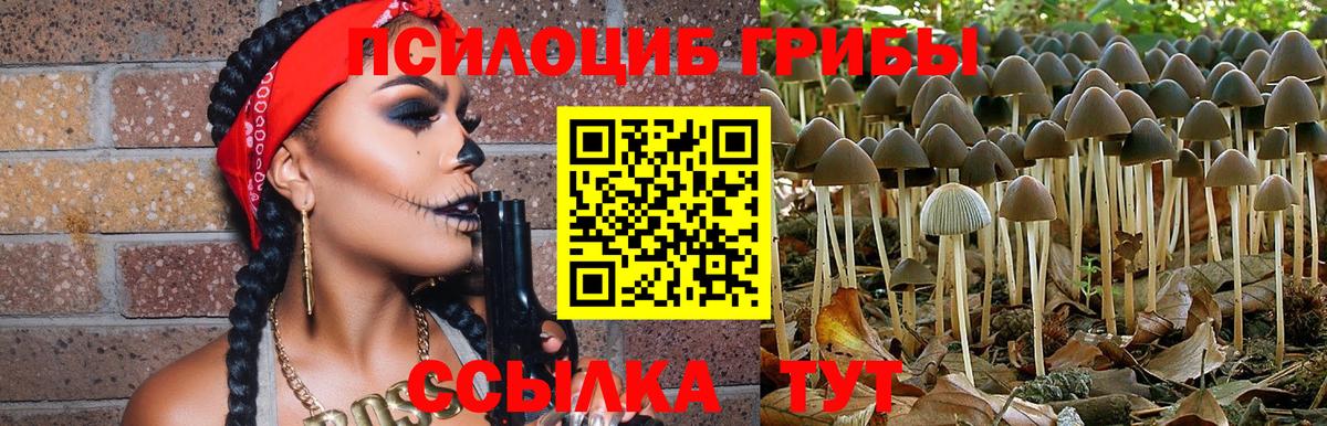 Галлюциногенные грибы MAGIC MUSHROOMS Наро-Фоминск
